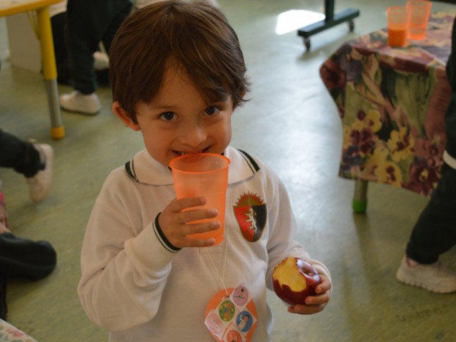 DSC_0793 (Medium).JPG